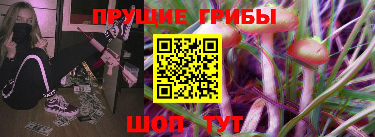 Псилоцибиновые грибы GOLDEN TEACHER Вязьма